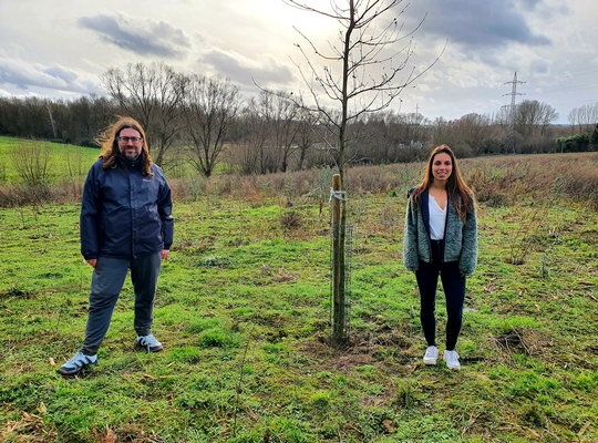 herdenkingsbos corona boomplantactie halle herdenkingsbos corona boomplantactie halle